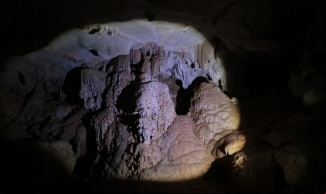 Inclusive, o Ceará tem 7 cavernas ocupadas por morcegos (até onde se sabe), localizadas em Ubajara, Aiuaba, Mangabeira e Crato.