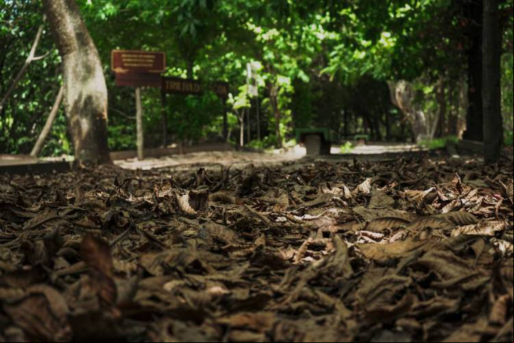 Parque do Cocó é um dos locais abertos de Fortaleza que retornam com suas atividades na fase 4 da retomada econômica