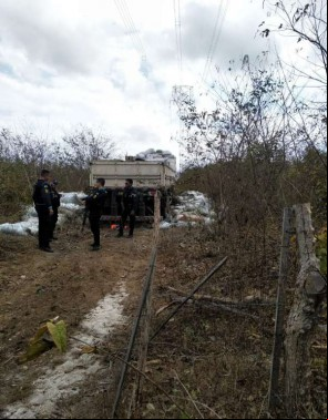 Carga de castanhas foram apreendidas em Marco
