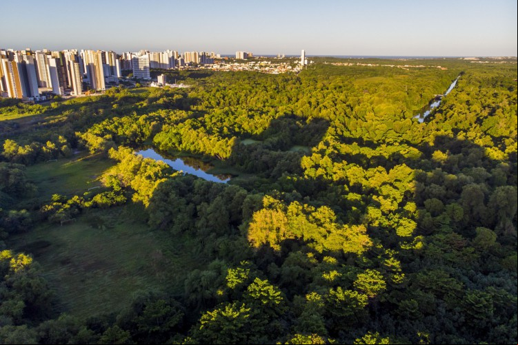 Fortaleza, Ce, BR - 21.06.2021 Vista aérea do Parque do Cocó (Fco Fontenele / O POVO)