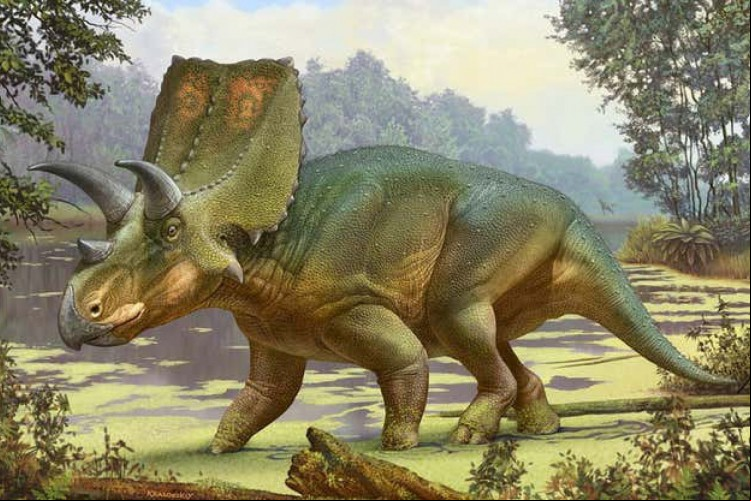 Os sierraceratops eram quadrúpedes herbívoros que comiam vegetação rasteira. Eles existiram no começo do fim do período cretáceo, segundo pesquisadores