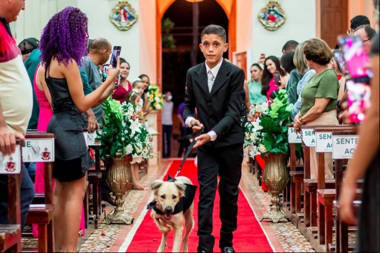 Cães de casal foram escolhidos como pajens de casamento em igreja de Nova Olinda