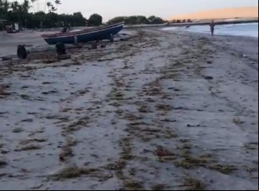 Segundo o secretário de Pesca do município, Danilo Menezes da Silva, o fenômeno ocorre durante todo ano na região
 
 