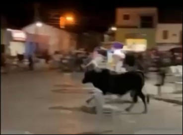 Boi corre em direção a participantes da quermesse 