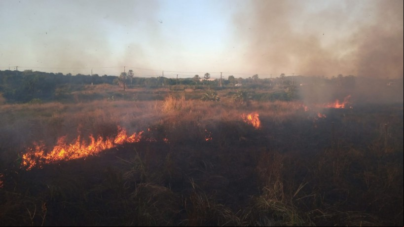 Incêndio atinge área de preservação ambiental, em Aquiraz