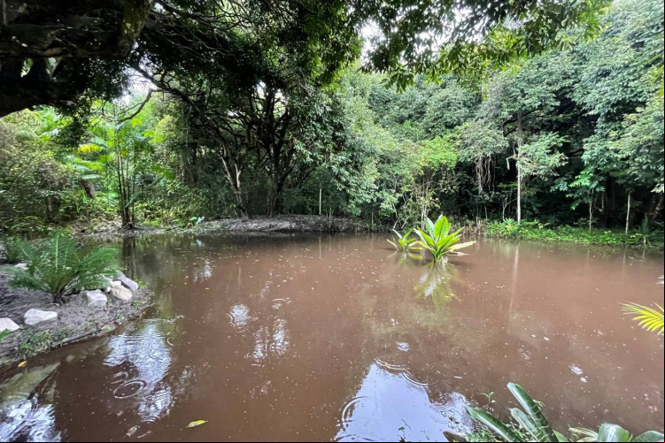 RPPN Mundo Livre fica em Guaramiranga