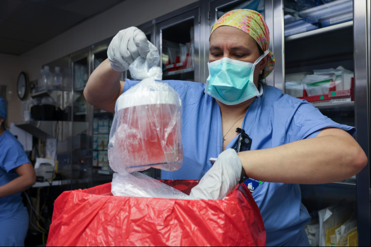 Brasileiro participou de primeiro transplante de rim de porco geneticamente modificado para pessoa viva