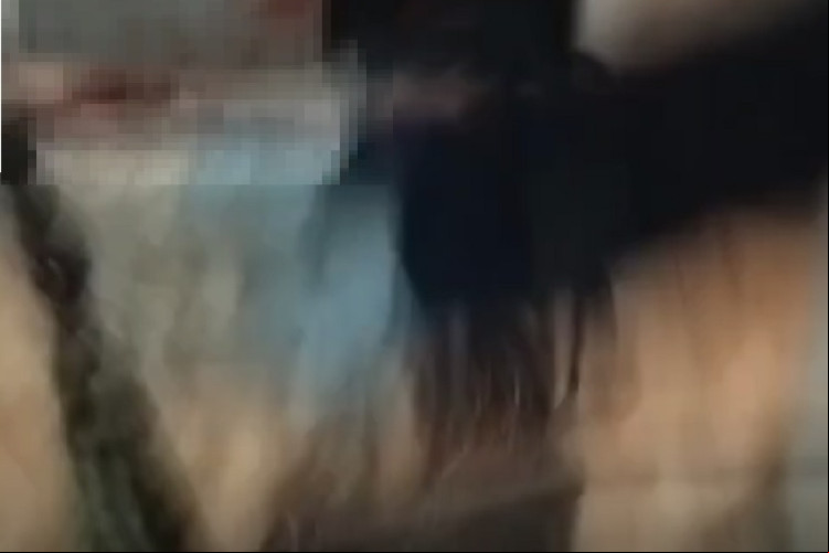 Vídeo feito instantes após o homicídio, mostra a vítima, Felipe Augusto Pereira Nogueira, de bruços, no chão de um cômodo da residência, que estava todo sujo de sangue