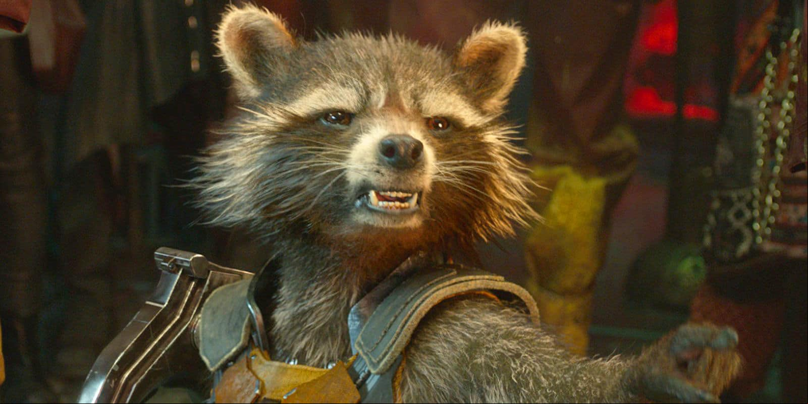 Rocket Raccoon é um personagem do Universo Cinematográfico Marvel que aparece em Vingadores: Guerra Infinita. É um guaxinim antropomórfico, inteligente, estrategista e atirador habilidoso que ganhou destaque nos Guardiões da Galáxia.