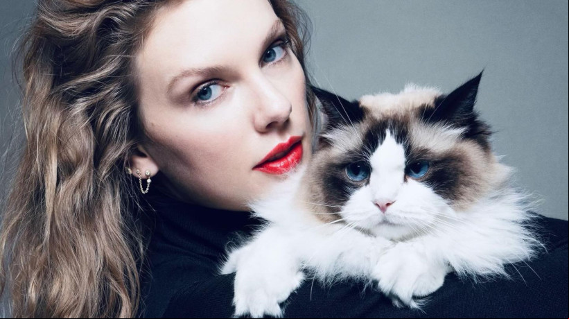 Taylor Swift assinou a declaração como