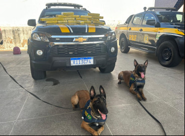 Droga foi encontrada com auxílio de cães farejadores 