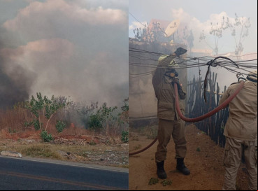 Incêndio atingiu localidade em Limoeiro do Norte, município cearense 