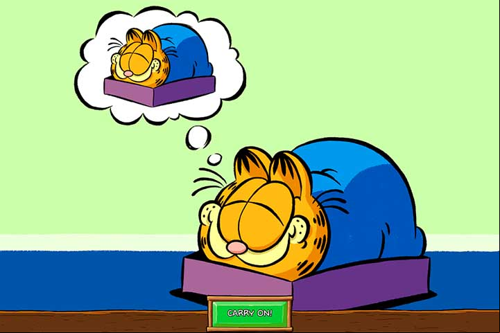 No ano seguinte, foi lançado outro filme, que o título original é Garfield Fun Fest, que também foi em computação gráfica. Foi lançado nos cinemas em alguns países (como no Brasil, com o título A Festa do Garfield).