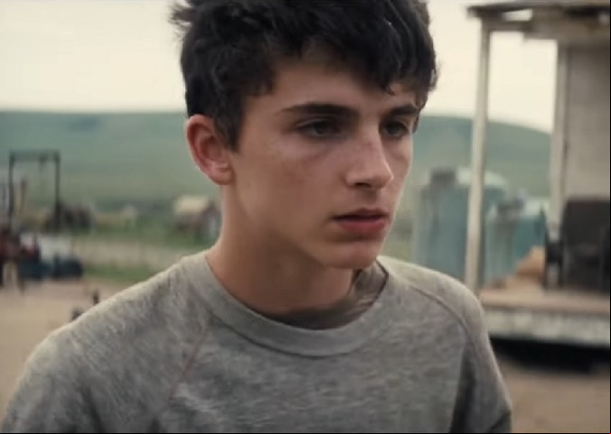Depois de atuar em dois filmes de menor expressão, Chalamet fez sua primeira participação grande no cinema, quando atuou em Interestelar (2015).
