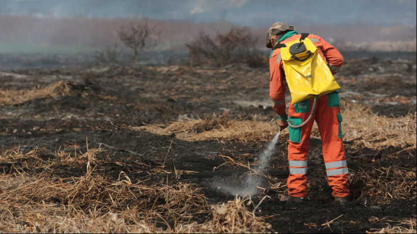 Vegetação seca é combustível para incêndios, conforme pesquisador. Manter o local alagado diminuiria a possibilidade de alastramento do fogo