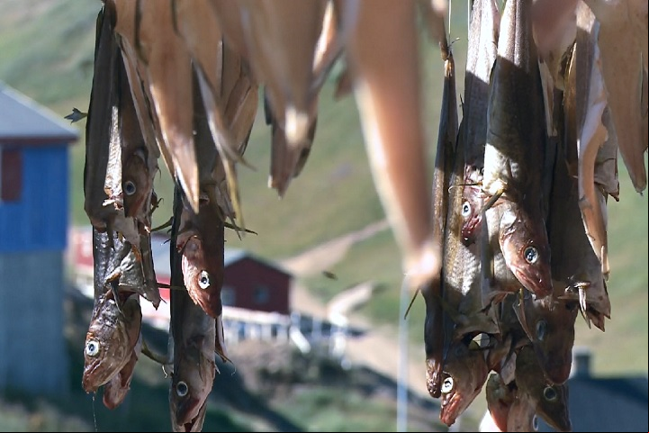 Economicamente, a Groenlândia depende da pesca, especialmente do camarão e do halibute, além da extração de minérios, que são abundantes na região.