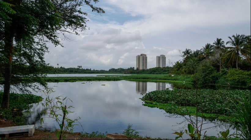 FORTALEZA, CEARÁ, BRASIL- 17.01.2025: Lagoa da Maraponga sem manuntenção, abandonada, com mato alto, cerca quebrada, lixo e sem iluminação. (Foto: Aurélio Alves/Jornal O POVO)