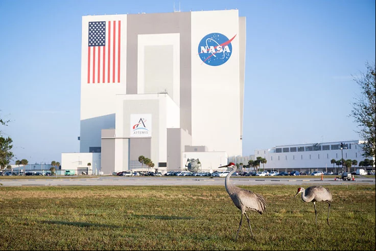 A agência Espacial dos EUA, mais conhecida como NASA, tem um canal que aguça ainda mais a curiosidade de quem gosta de explorar o universo.
