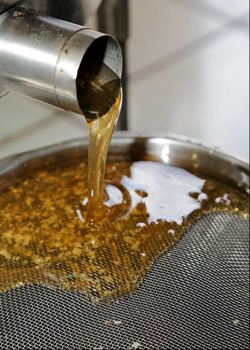 Nos pomares de laranja, maçã, uva e outras frutas cultivadas comercialmente é comum os agricultores contratarem apicultores para polinizarem as flores, a render grande produtividade, tanto de frutas, como de mel.