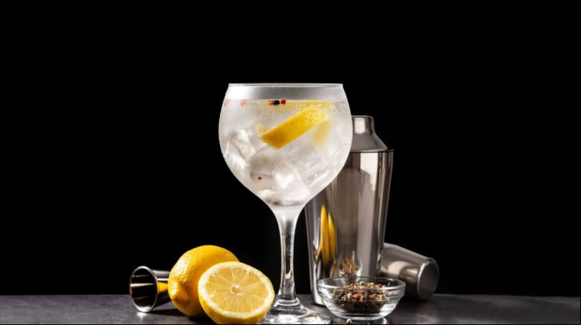 Gin tropical (Imagem: etorres | Shutterstock)