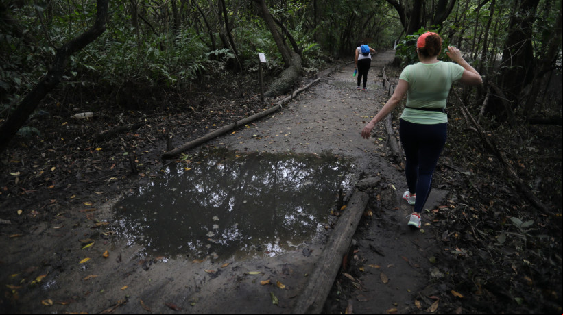Trilhas do Parque do Cocó permanecem fechadas devido a alagamentos