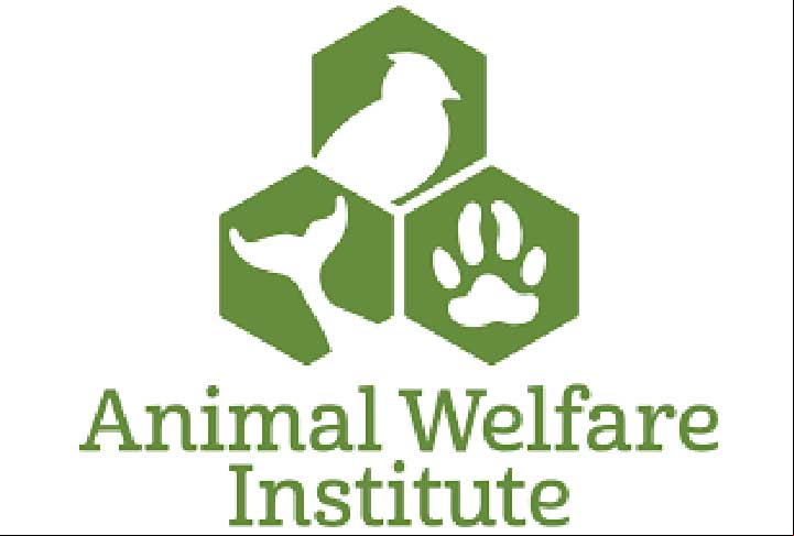 Os animais foram encontrados em uma fazenda abandonada na Carolina do Sul no começo do ano. Morgan celebrou o resgate: Fico feliz em levá-los e mantê-los juntos em nossa fazenda. Eles seriam uma adição bem-vinda ao nosso zoológico de criaturas felizes, disse o ator na ocasião.