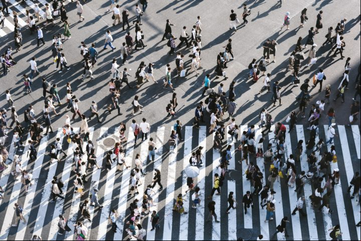 Por outro lado, os humanos não ampliaram suas capacidades cognitivas ao trabalharem em grupo.