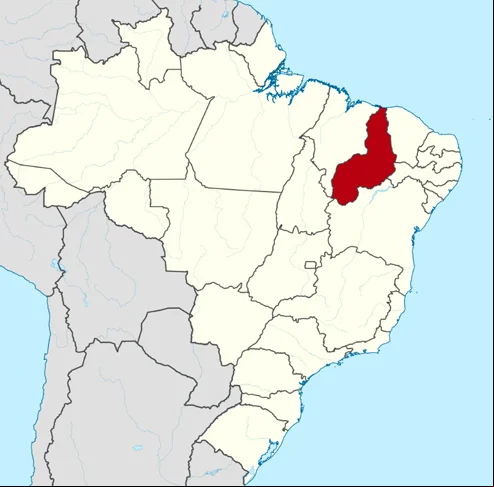 O Piauí, no Nordeste do Brasil, é um estado pouco lembrado para turismo, mas tem belezas e atrações históricas e culturais que valem a visita. Descubra curiosidades desse território brasileiro que tem muito a oferecer.