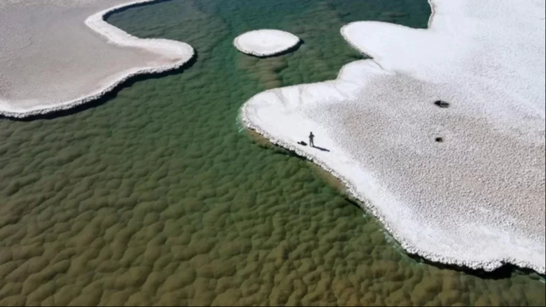Pesquisadores descobriram lagoas de micróbios em deserto na Argentina, após  detectarem uma rede de piscinas estranhas em imagens de satélite.  Puna de Atacama, no noroeste do país, é um planalto gigantesco, mais de 3,6 km acima do nível do mar.  O FLIPAR mostrou e republica para quem não viu 