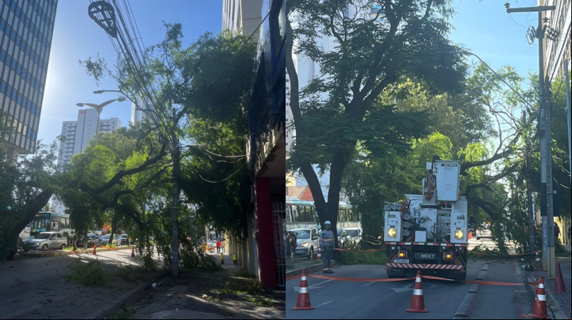 Os cruzamentos entre a avenida Heráclito Graça com a avenida Dom Manuel e a rua Rodrigues Júnior estão bloqueados para possibilitar a remoção da árvore caída