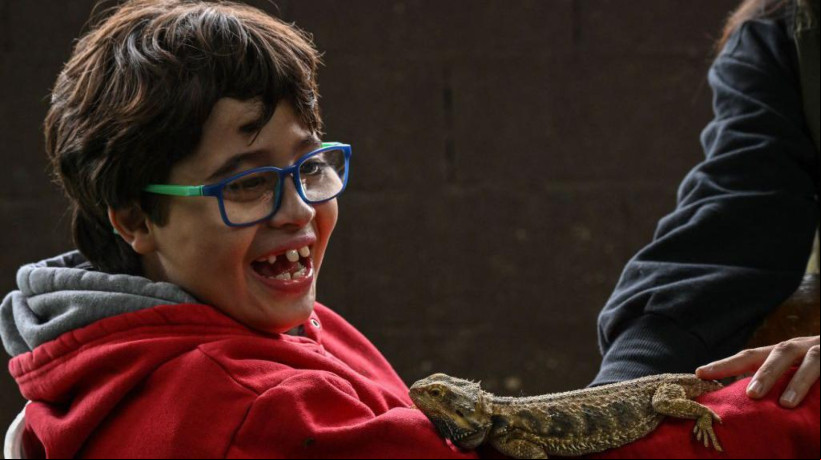 Pela primeira vez, o Censo incluiu uma pergunta sobre autismo  