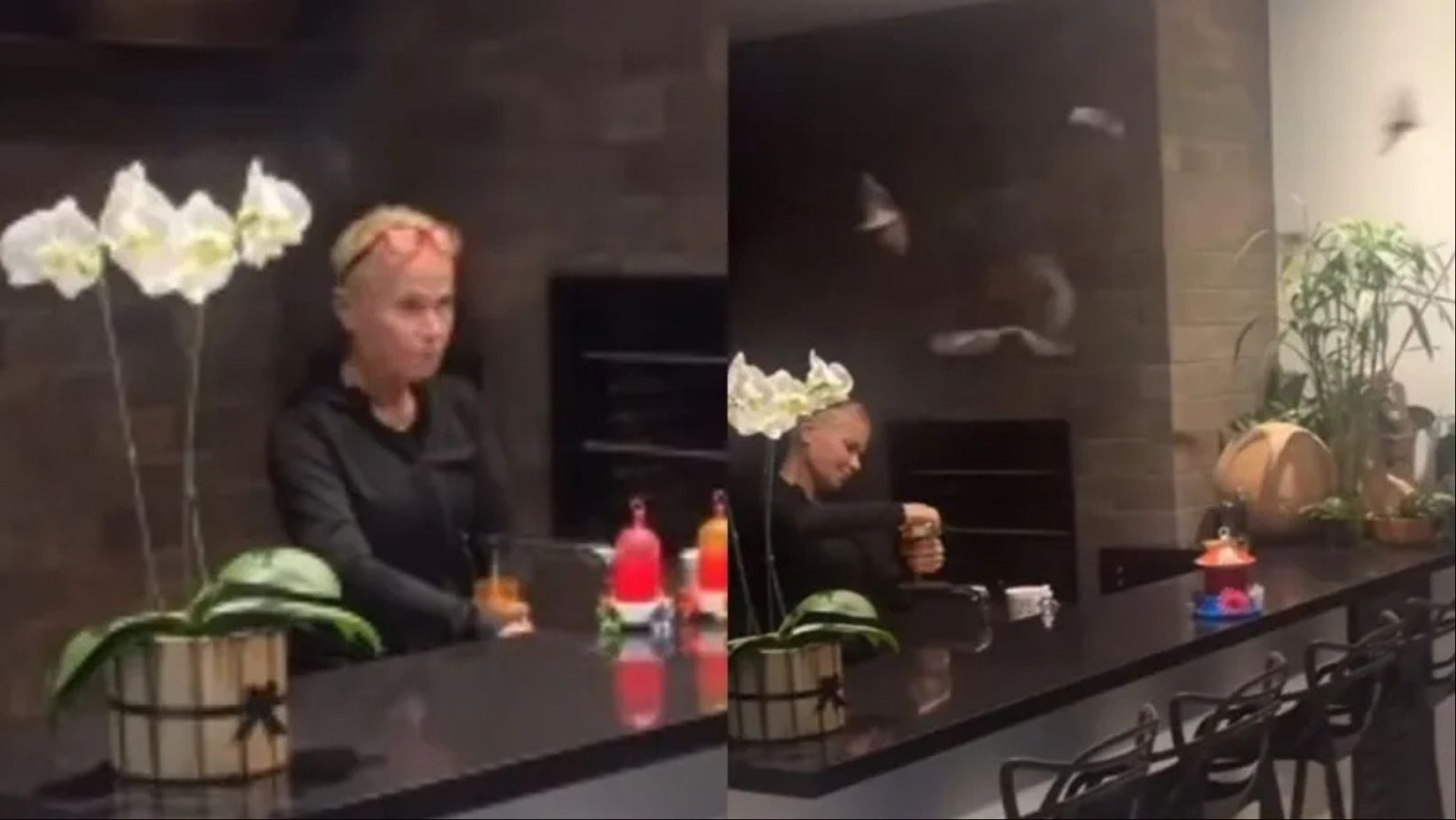 Em casa, Xuxa cuida de morcegos e vídeo viraliza nas redes Em casa, Xuxa cuida de morcegos e vídeo viraliza nas redes