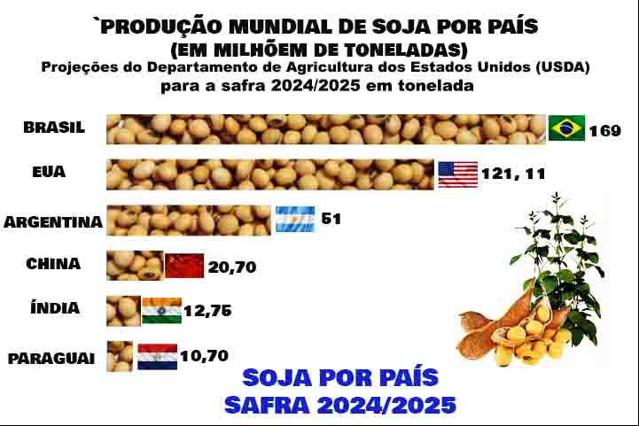 O Brasil é o maior produtor de soja do mundo. Mato Grosso, Rio Grande do Sul e Paraná são os maiores produtores de soja do país, seguidos de Goiás, Mato Grosso do Sul, Minas Gerais e Bahia.
