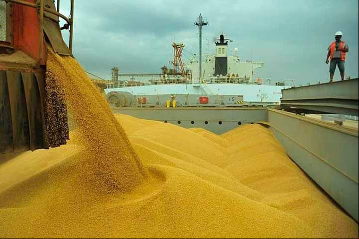 O IBGE divulgou em 30/5 que o crescimento na colheita de soja em 13,3% este ano foi o principal fator para o desempenho do setor agropecuário brasileiro, que aumentou 10,2% na comparação anual. 