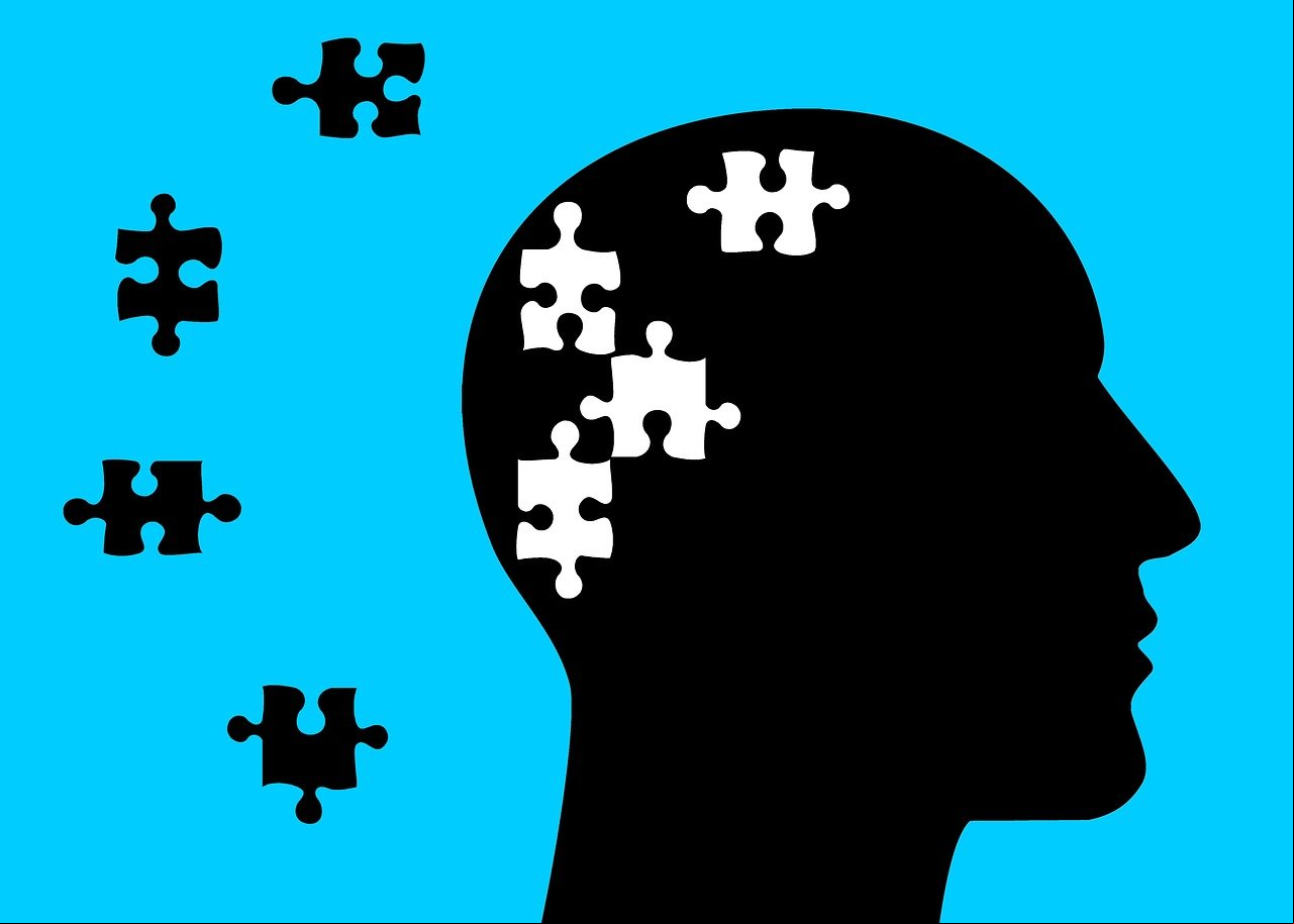 Existem plantas e alimentos que auxiliam a memória devido a compostos que estimulam a circulação cerebral e protegem os neurônios. Além disso, podem reduzir o estresse, um dos fatores que prejudicam a memorização.  