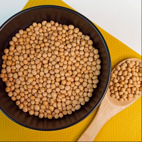 Além de ser baixa em carboidratos, a soja é rica em proteínas e fibras solúveis, as quais aumentam a sensação de saciedade e diminuem o apetite, favorecendo a perda de peso.