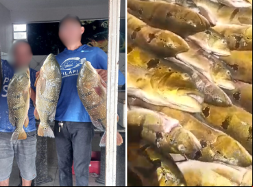 Desde 2023, reservatórios do Ceará são alvo de pescadores predatórios
 