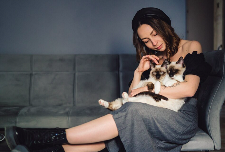 Um dos motivos para a preferência por gatos é que eles não demandam tanta atenção como outros pets. Eles são mais independentes. Veja algumas raças de gatos que são muito queridas pelas pessoas no Brasil.